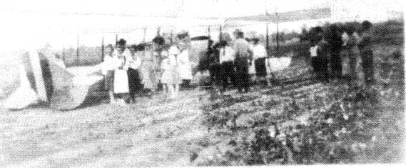 This very early photo of a Curtiss Jenny biplane aircraft, with curious crowd in a Virginia  field, shows the drooping  elevators on  the  horizontal tail surface.  