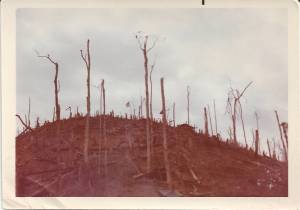 Hamburg Hill in Vietnam.